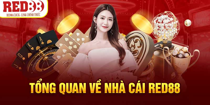 Trang web mới của New88 bao gồm các câu hỏi thường gặp - New88