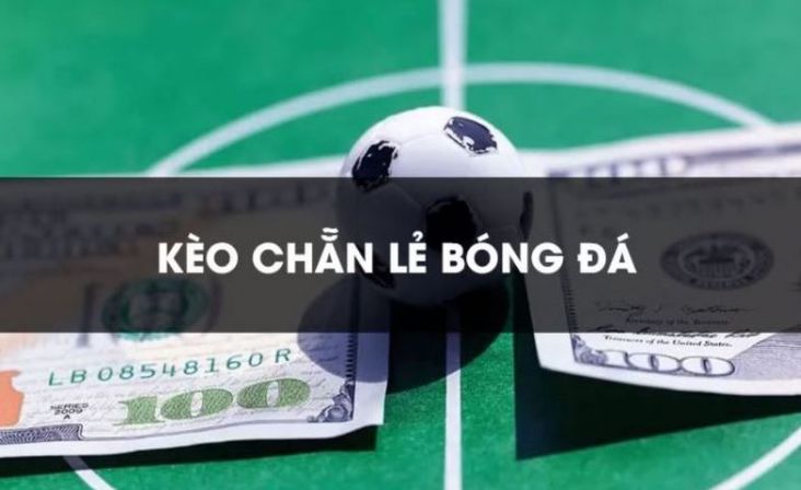Betvisa cung cấp hệ thống trò chơi dựa trên phần thưởng tốt nhất - Betvisa