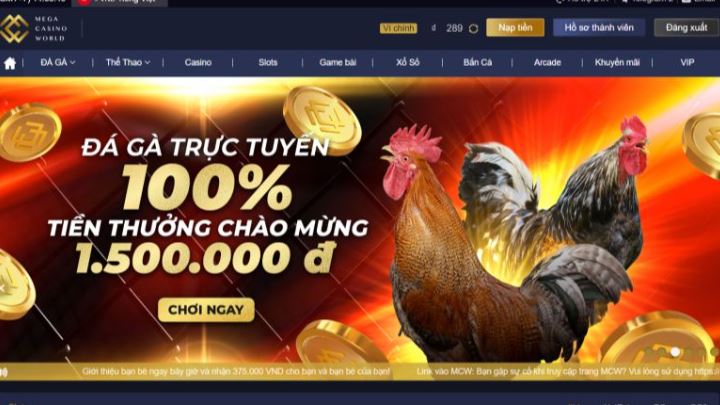 Sin88 cần đáp ứng những điều kiện gì để cấp 88000 đô la tiền cược miễn phí? - Sin88