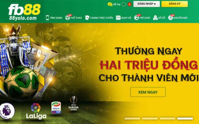 Đánh giá tổng quan về trang web 365Vn - 365Vn