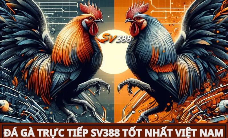 Uy tín của Sv66 như thế nào? - Sv66