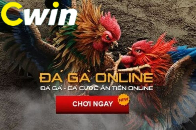 Game đá gà cấp độ Fun88 tương thích với mọi hệ điều hành - Fun88