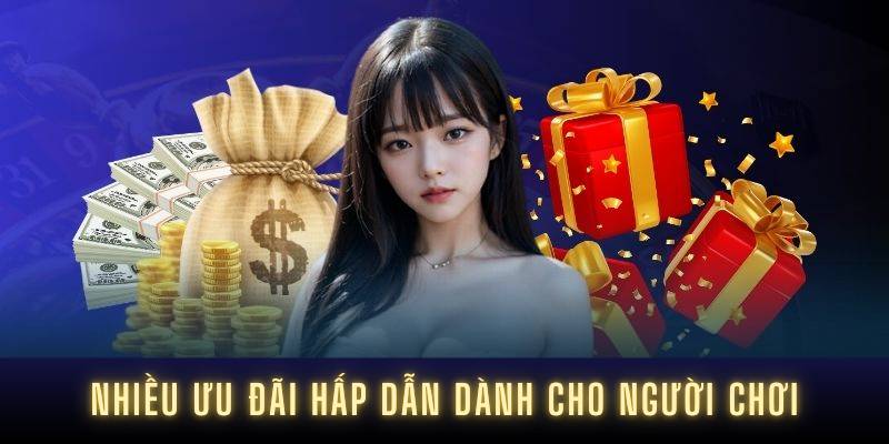 Thông tin quan trọng về Hcm66 - Hcm66