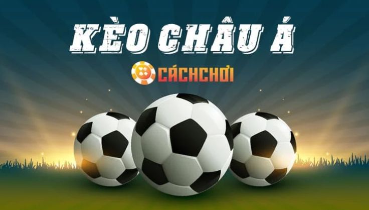 We88 có cung cấp dịch vụ hỗ trợ khách hàng không? - We88