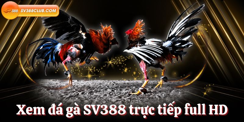 Hướng dẫn cách giao dịch với 32Win - 32Win