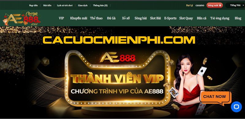 Một công viên giải trí đẳng cấp thế giới đạt chuẩn Bet999 - Bet999