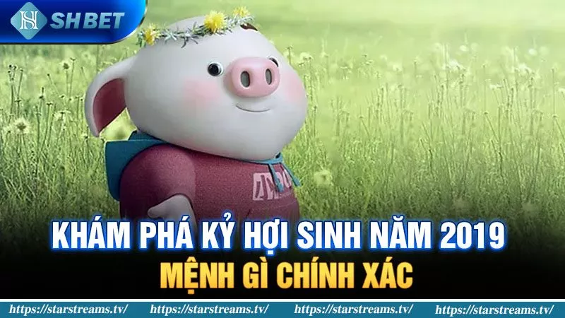 Thông tin liên hệ VIP Ok9 - Ok9