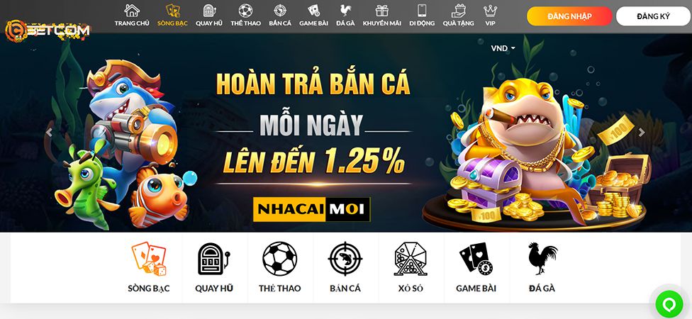 Thành viên VIP Fun222 được phân loại theo thành phố - Fun222